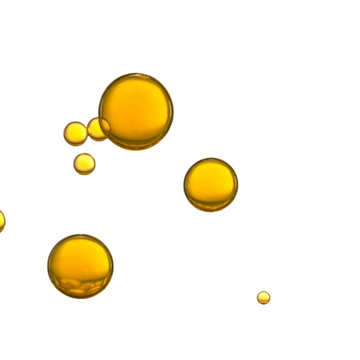Oil